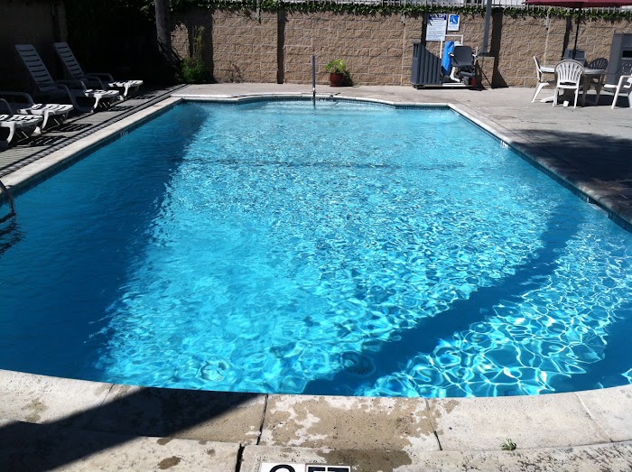 Ace Swimming Pool Services