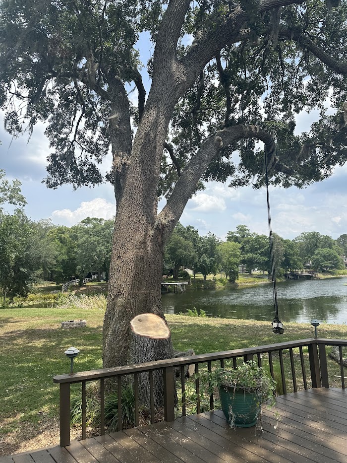 All Weather Tree and Landscaping Service, Inc.