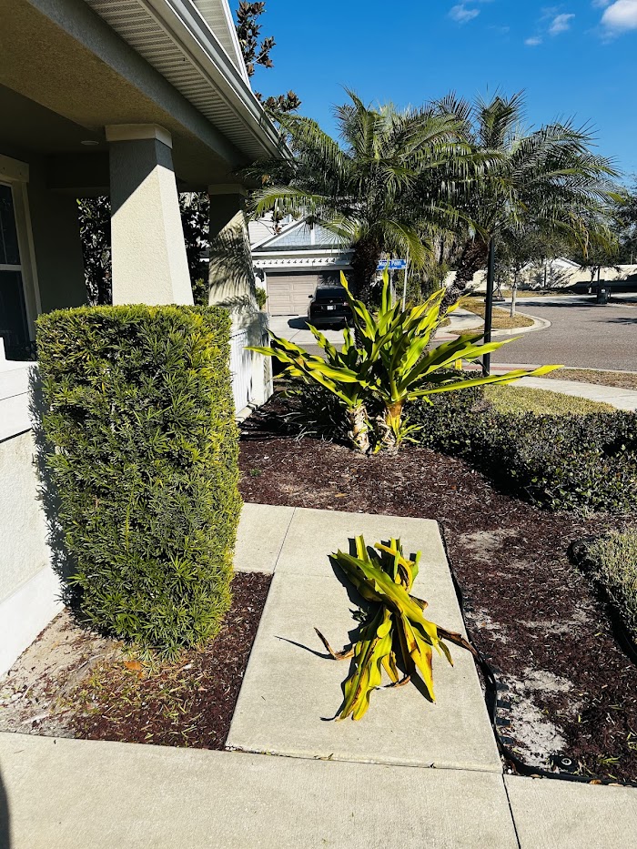 Alfonso’s Lawn and Landscaping