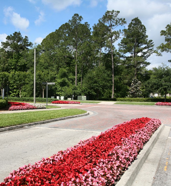 Yellowstone Landscape