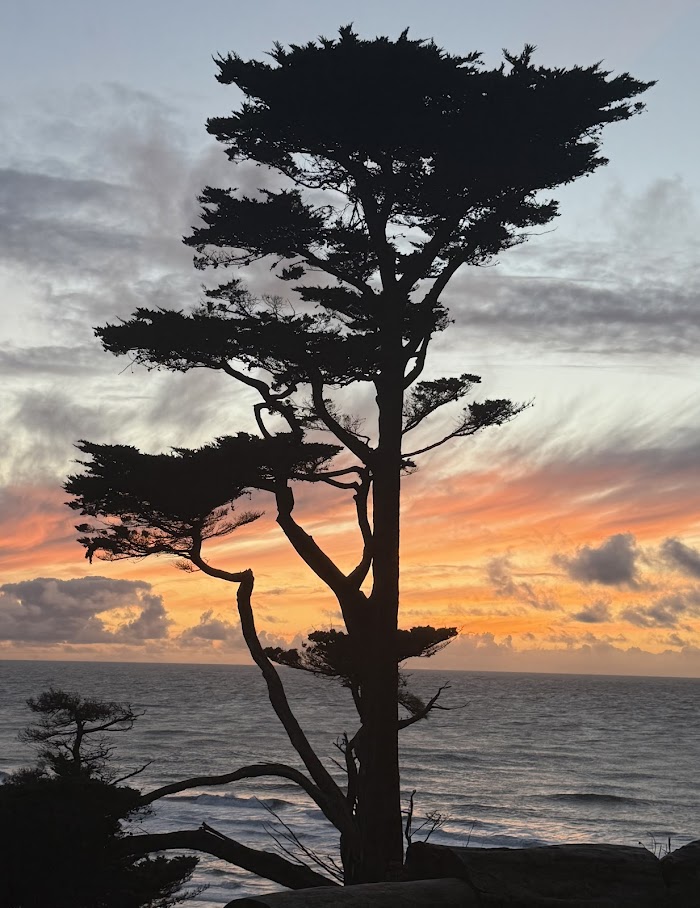 Terry Mulrooney Design