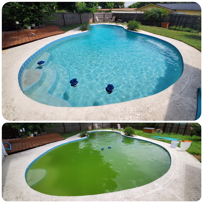 Plaza Aquatica Pool Service