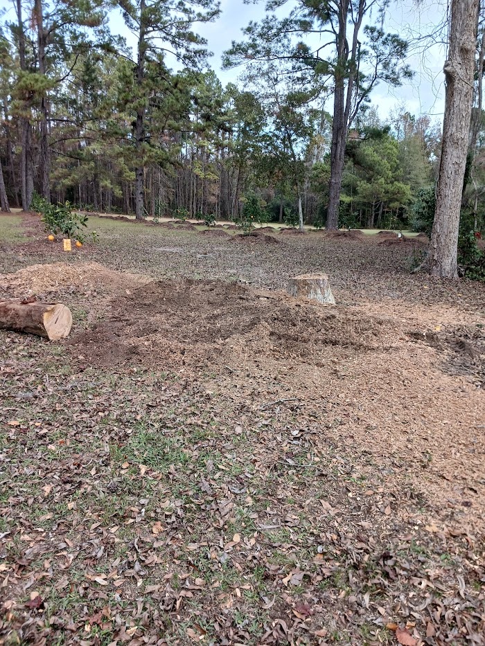 Fielder Tree Service