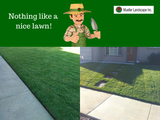 Mueller Landscape Inc