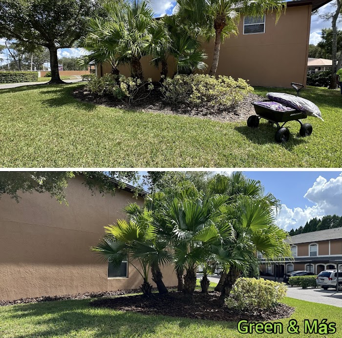 Green & Más Landscape Services