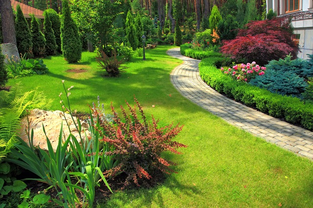 Landscaping San Jose