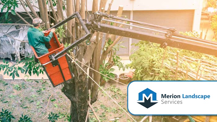 Merion Landscape Services