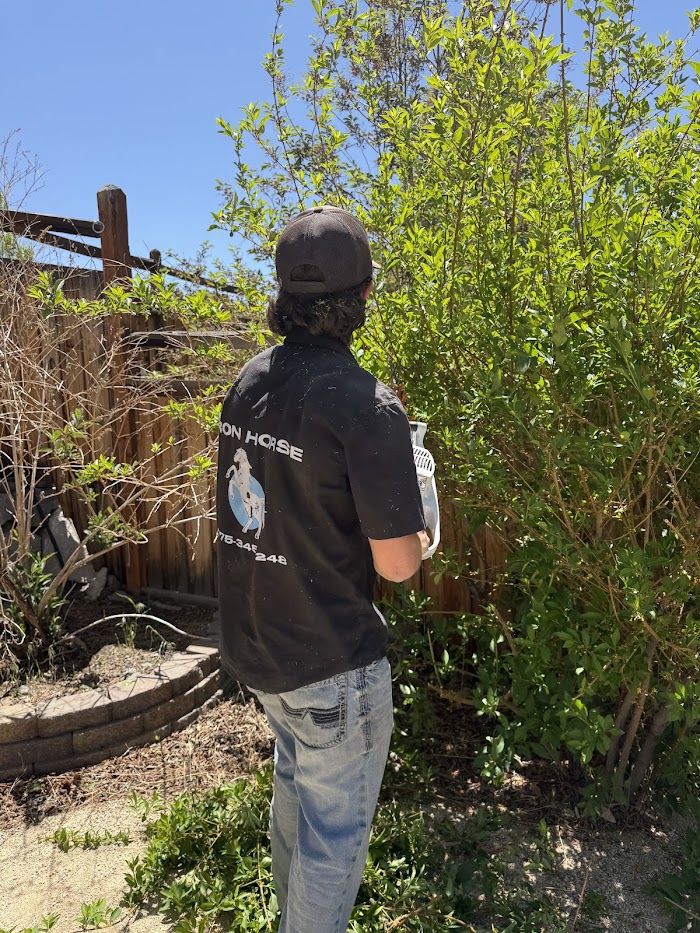 Iron Horse Lawn and Landscaping