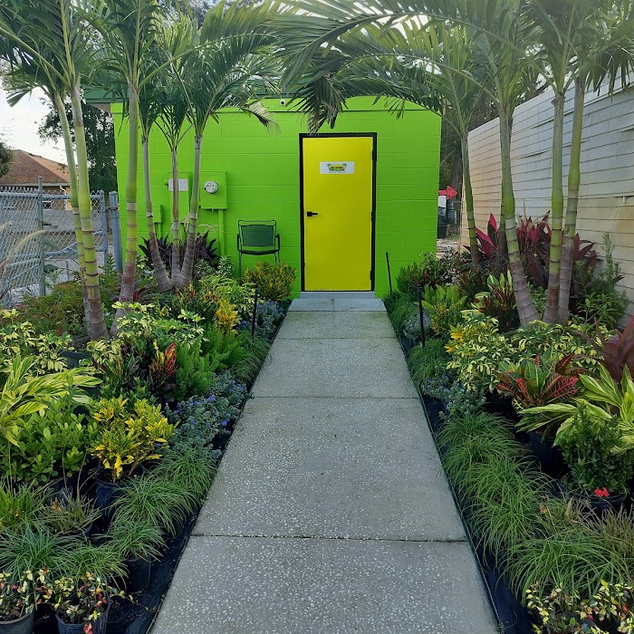 High Maintenance Landscape Contractors