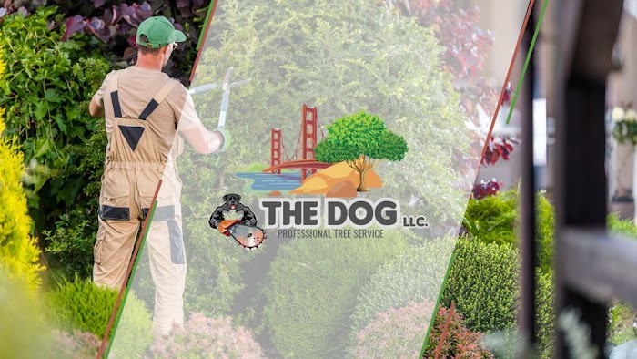 The Dog Tree Service LLC