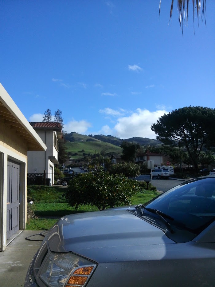 Everclear Pool Services