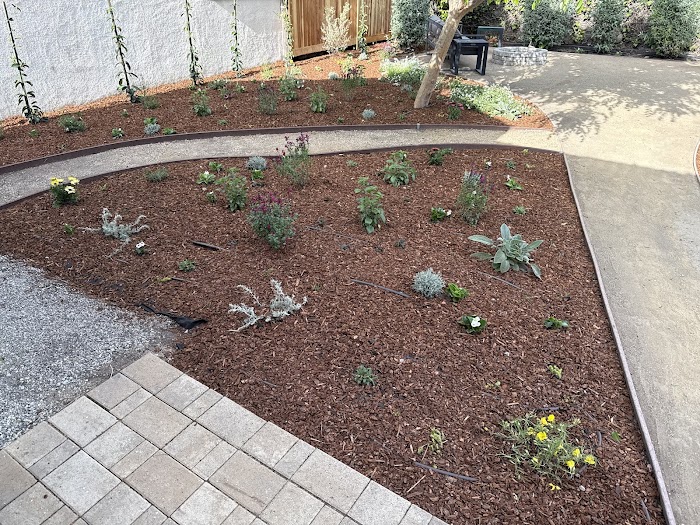 Floral Palace Landscape Design