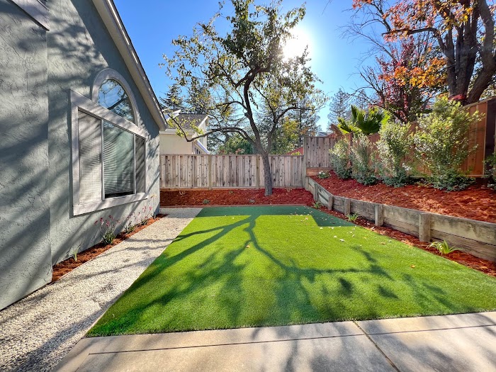 San Jose Tree Service & Landscaping