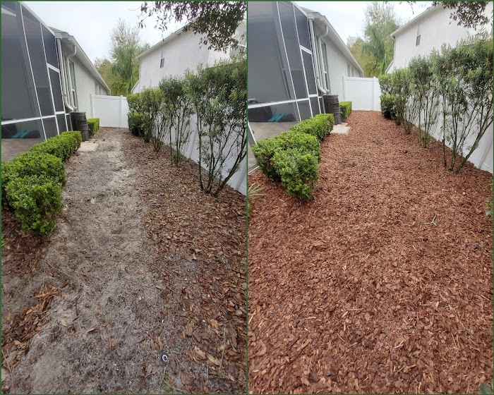 Tampa Elite Landscape & Design