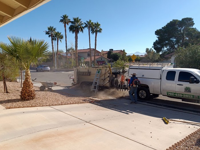Casino Tree Service and landscaping LLC