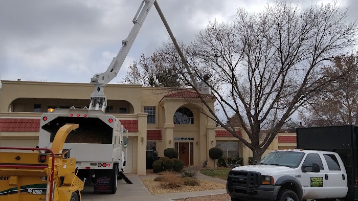 Robert’s Tree Service LLC