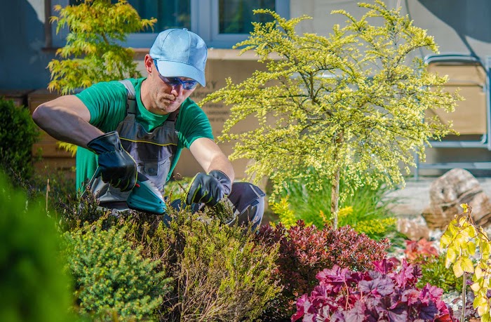 San Jose Landscaping