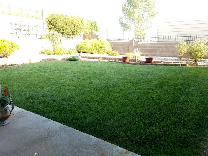 Lawn Doctor of Albuquerque