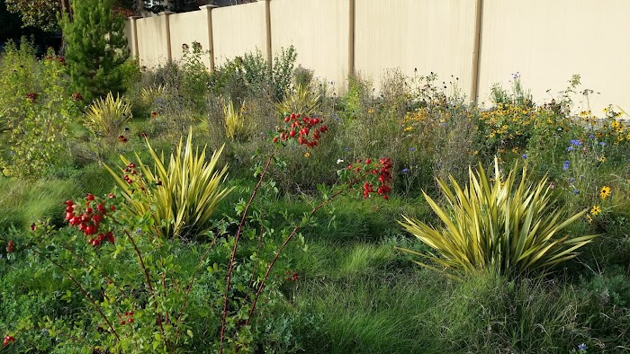 Gachina Landscape Management