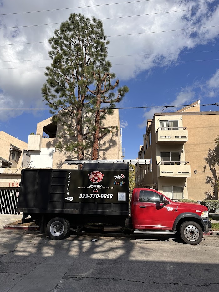 LunaBella Tree Svc & Landscape LLC