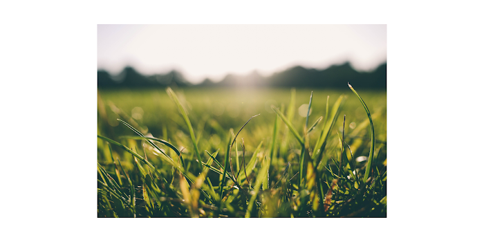 Cross Pest Control of Tampa