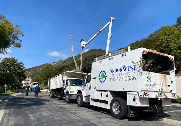 Sergio Contreras Landscape Inc.🌳