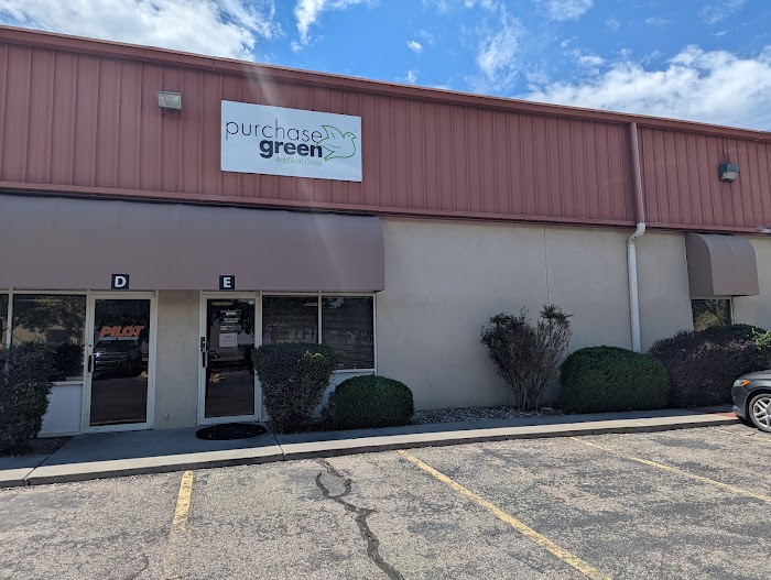 Purchase Green Artificial Grass