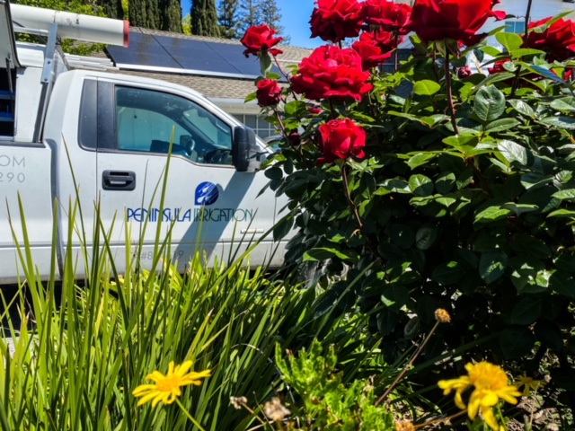 Peninsula Irrigation Co.