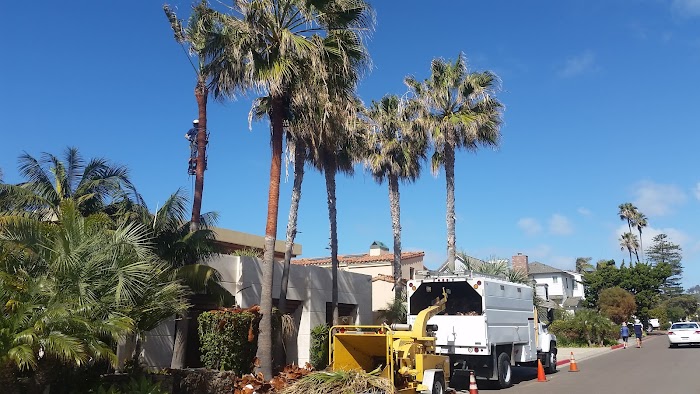 San Diego Tree Care
