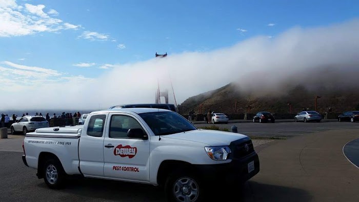 Dewey Pest & Termite Control