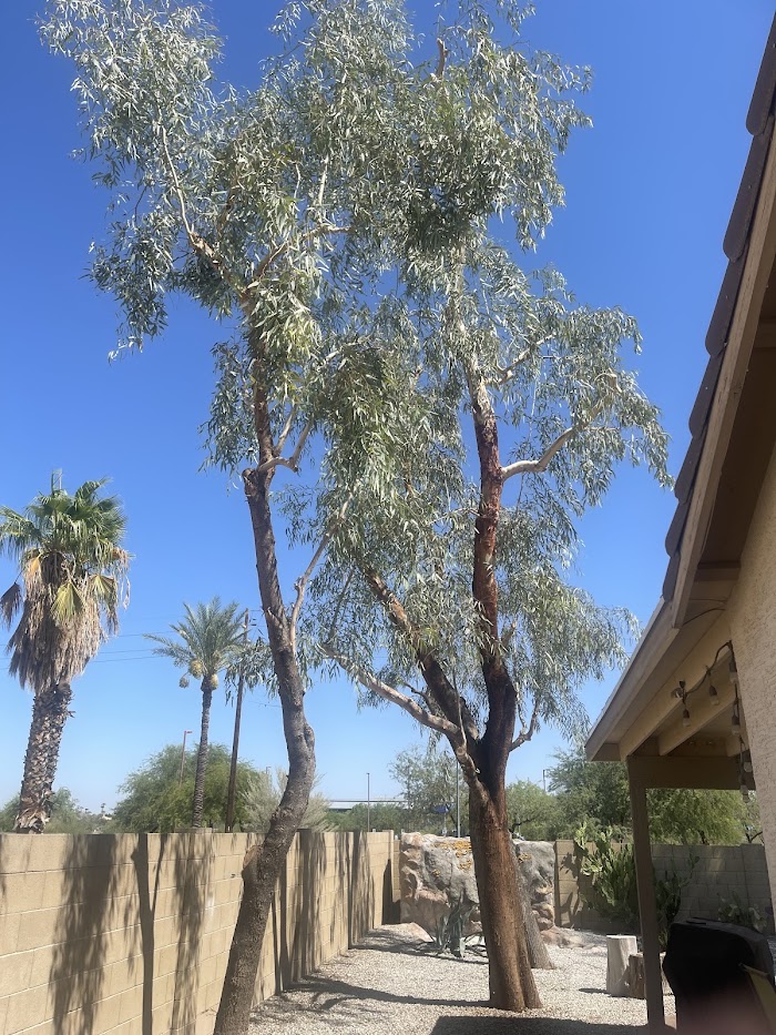 PROS Tree & Landscape, LLC