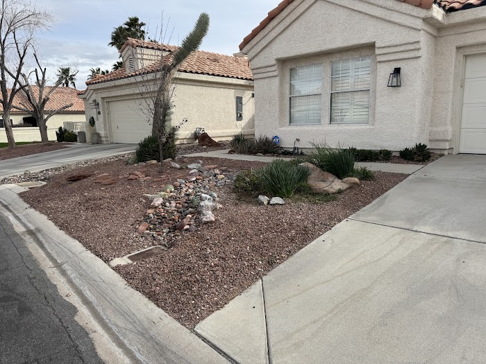 Cacti Landscapes Las Vegas