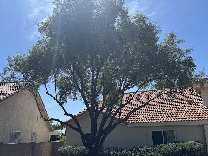 Joe’s Yard, Tree, & Irrigation
