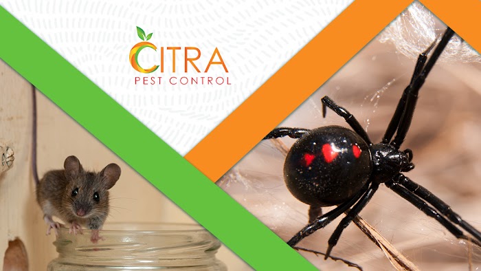 Citra Pest Control