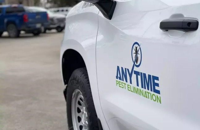Anytime Pest Elimination San Antonio
