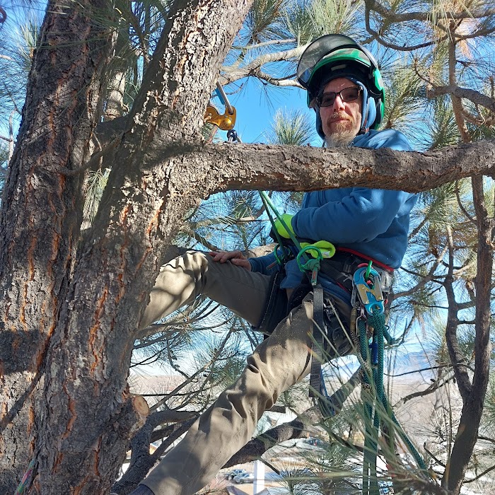 Corrales Tree Care