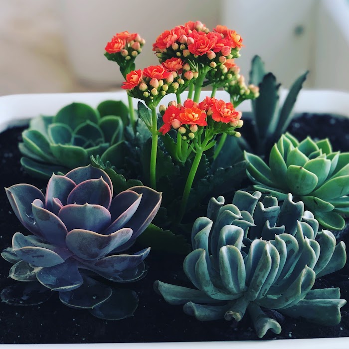 Newcomb Landscaping Services, Inc.