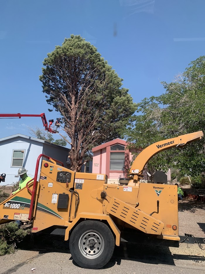 Leo’s Tree Service
