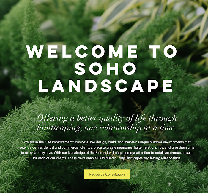 Soho Landscape