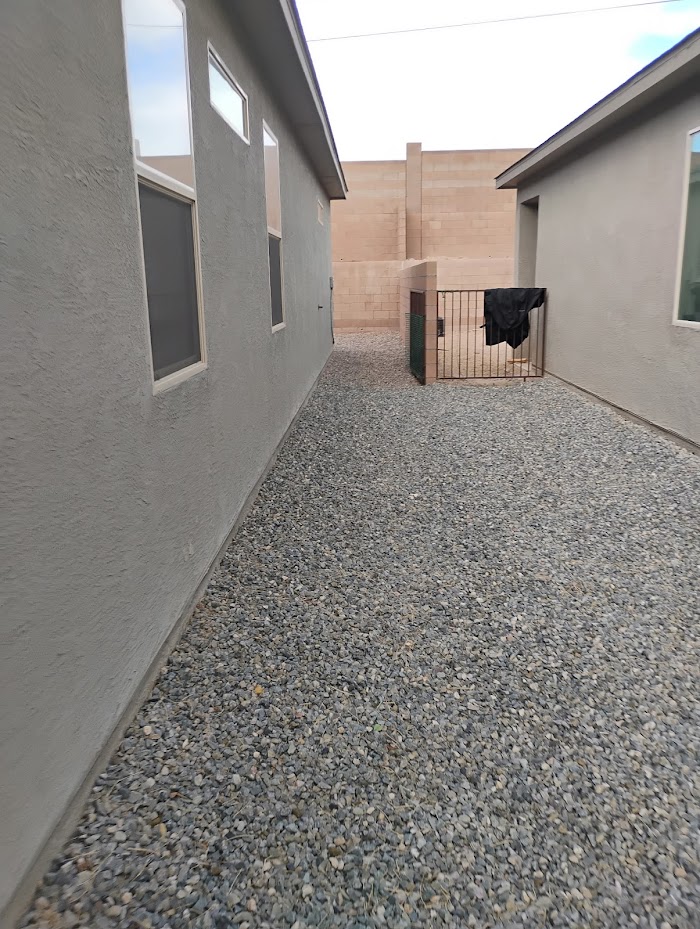 Davids Tree Removal and yard maintenance