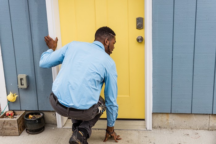 Insight Pest Solutions