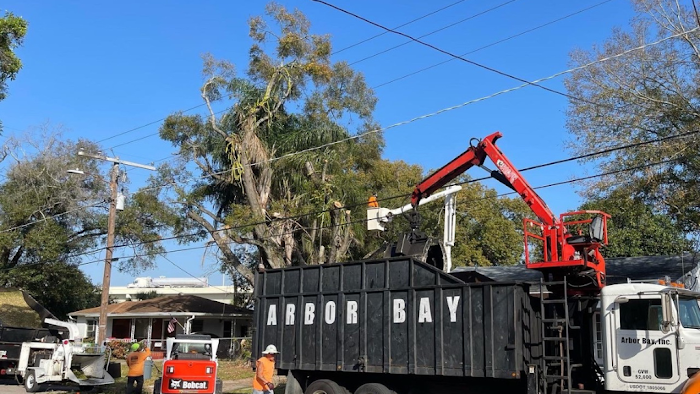 Arbor Bay Tree Service