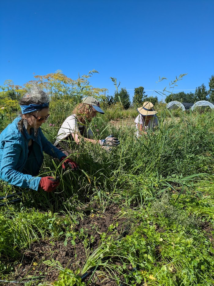Reunity Resources (Soil Yard Hours Below)