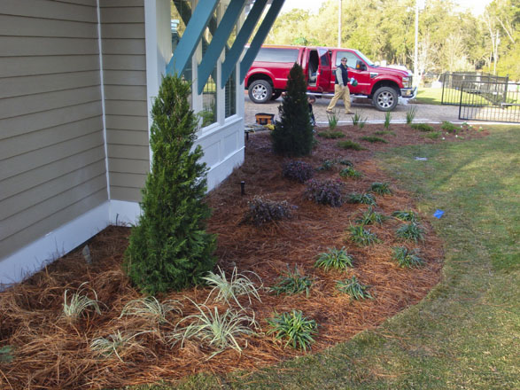 Conrad Design & Landscape