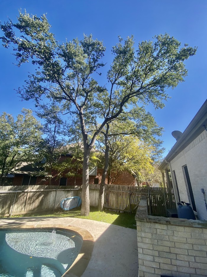 Golden Tree Landscaping