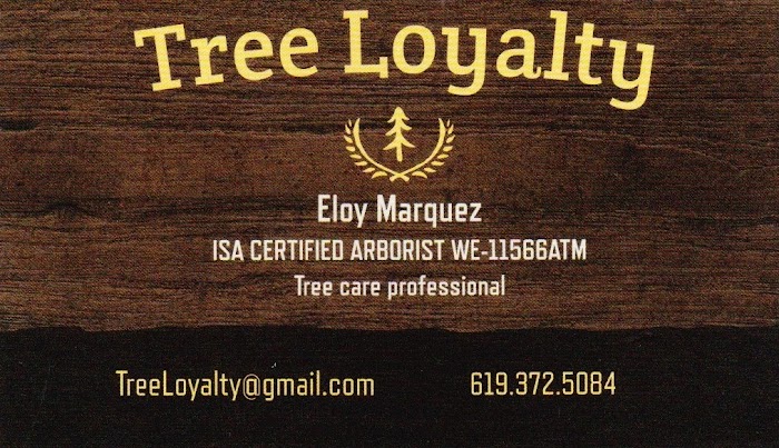 Tree Loyalty LLC