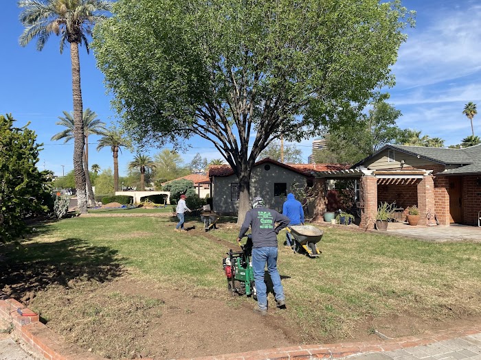 Trett Landscaping | Phoenix Tree Stump Removal