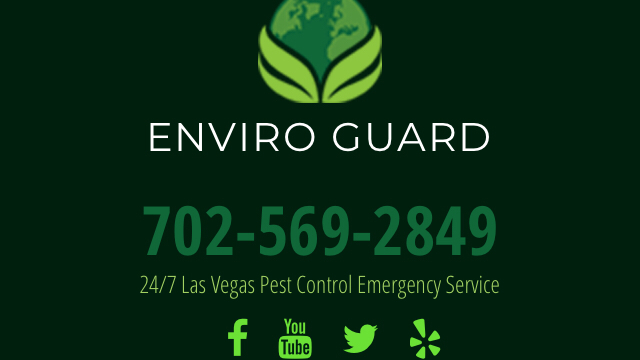 Enviro Guard Pest Control