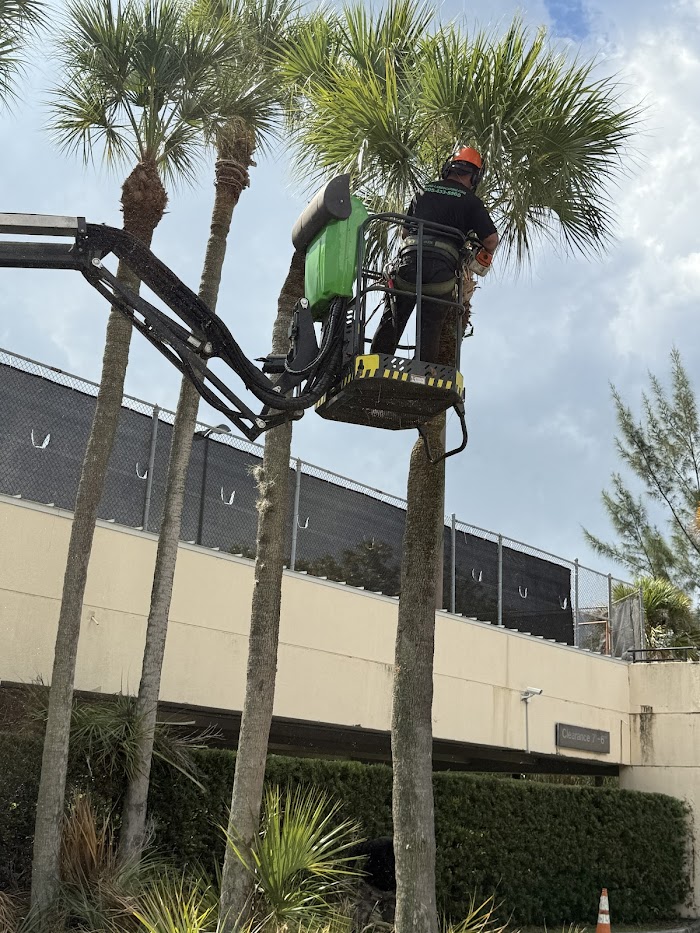 Divine Landscaping Services INC