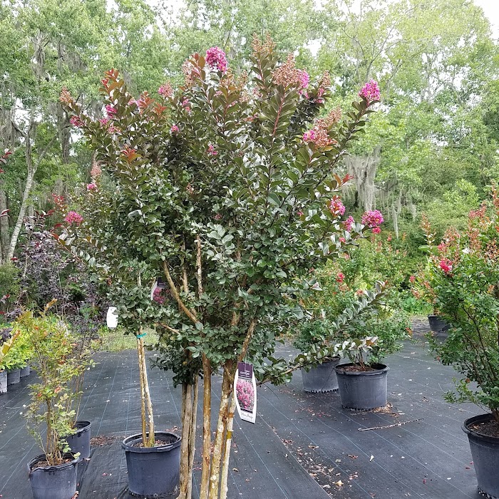 Hickory Creek Nursery